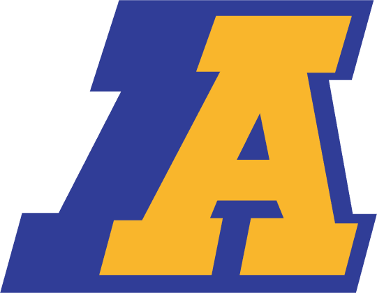 Akron Zips 1986-2001 Primary Logo diy fabric transfer